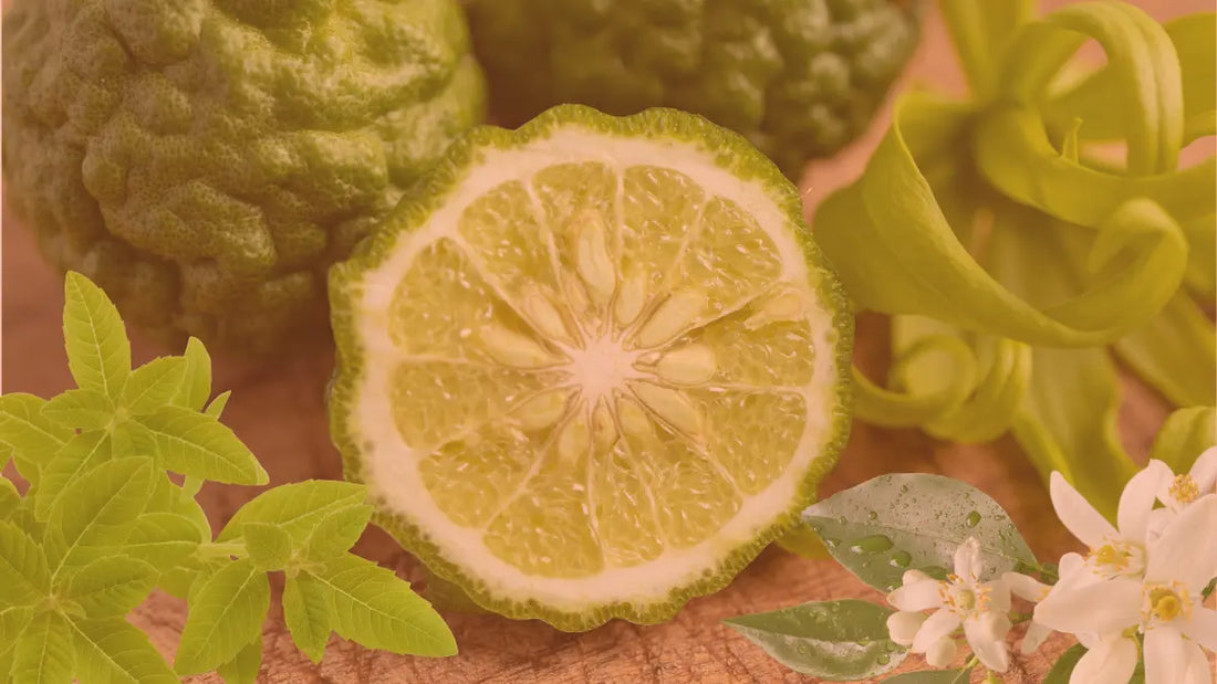 ingredientes florales y frutales de perfumes